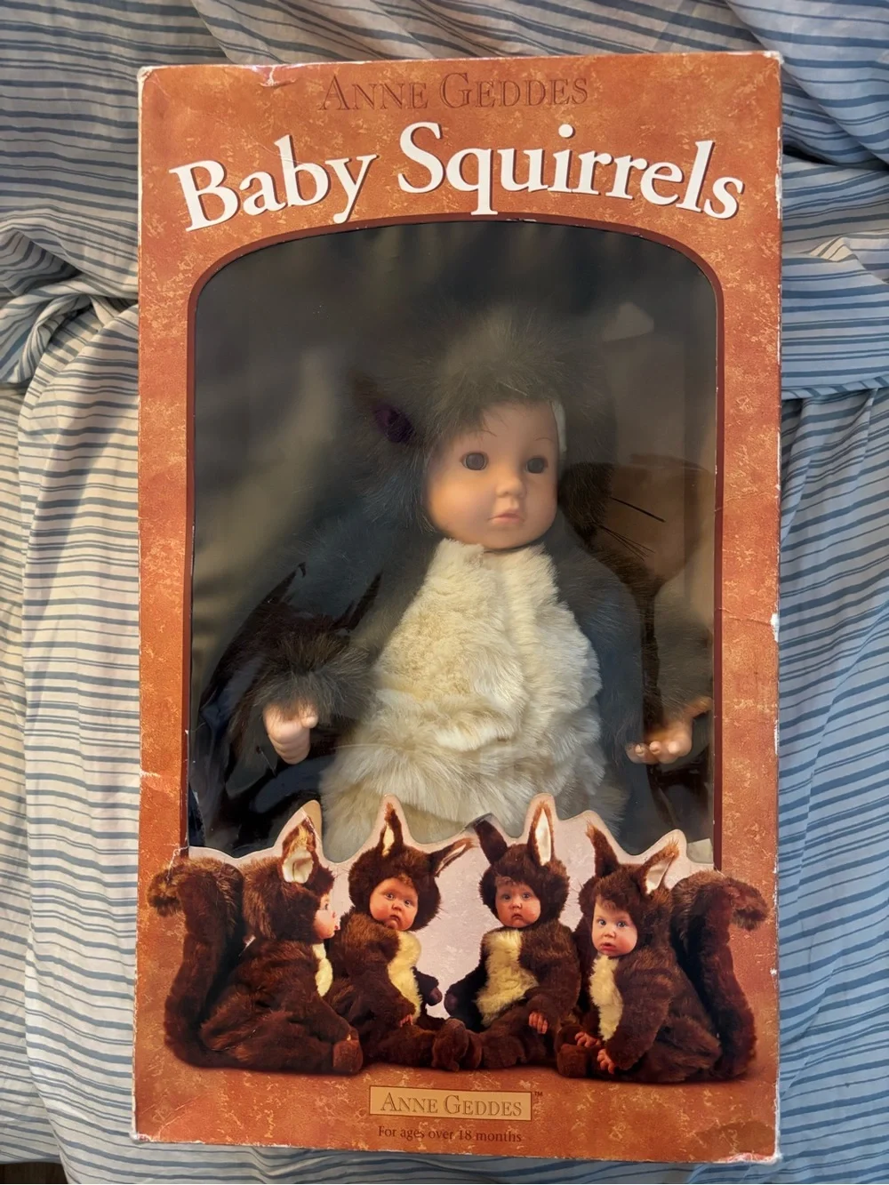 Anne Geddes 🐿️ vintage
